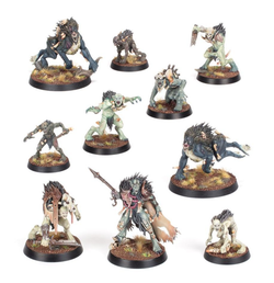 Games Workshop Warcry - Warband - Royal Beastflayers