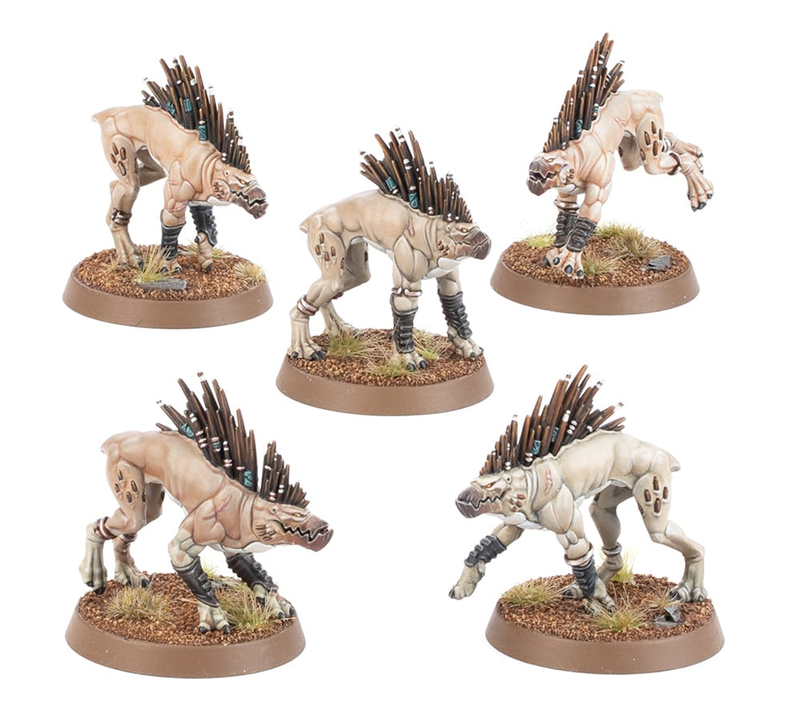 Games Workshop Warhammer 40,000 - T'au Empire - Kroot Hounds