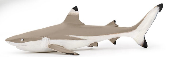 Papo Toys Blacktip Reef Shark