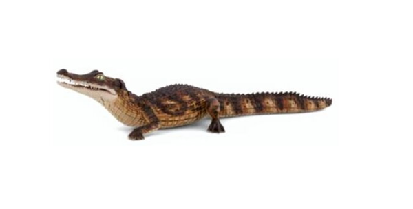 Papo Toys Cayman
