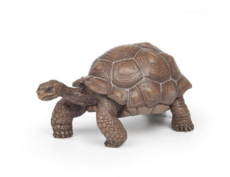 Papo Toys Galapagos Tortoise