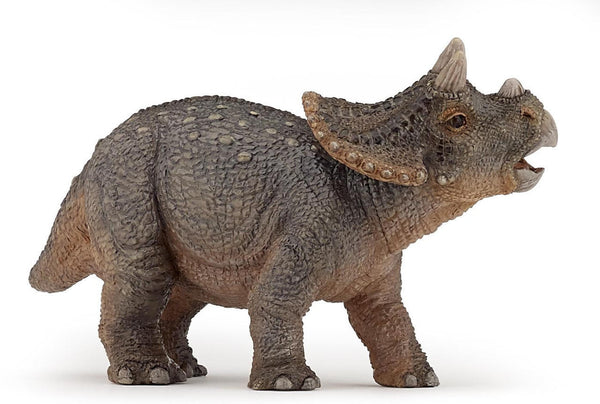 Papo Toys Young Triceratops