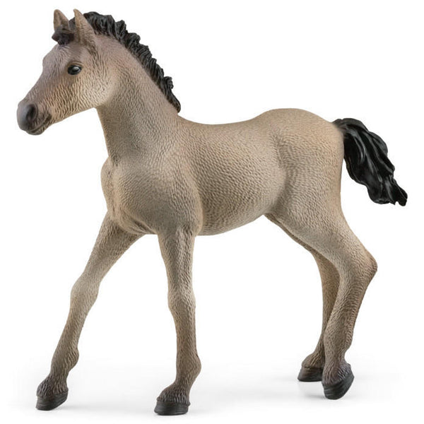 Schleich Horse Club Criollo Definitivo Foal