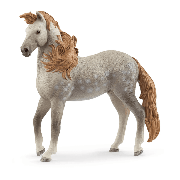 Schleich Horse Club Andalusian Stallion 2025
