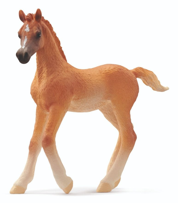 Schleich Horse Club Arabian Foal 2024