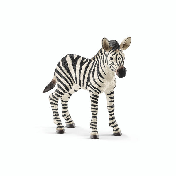 Schleich Wild Life Zebra Foal