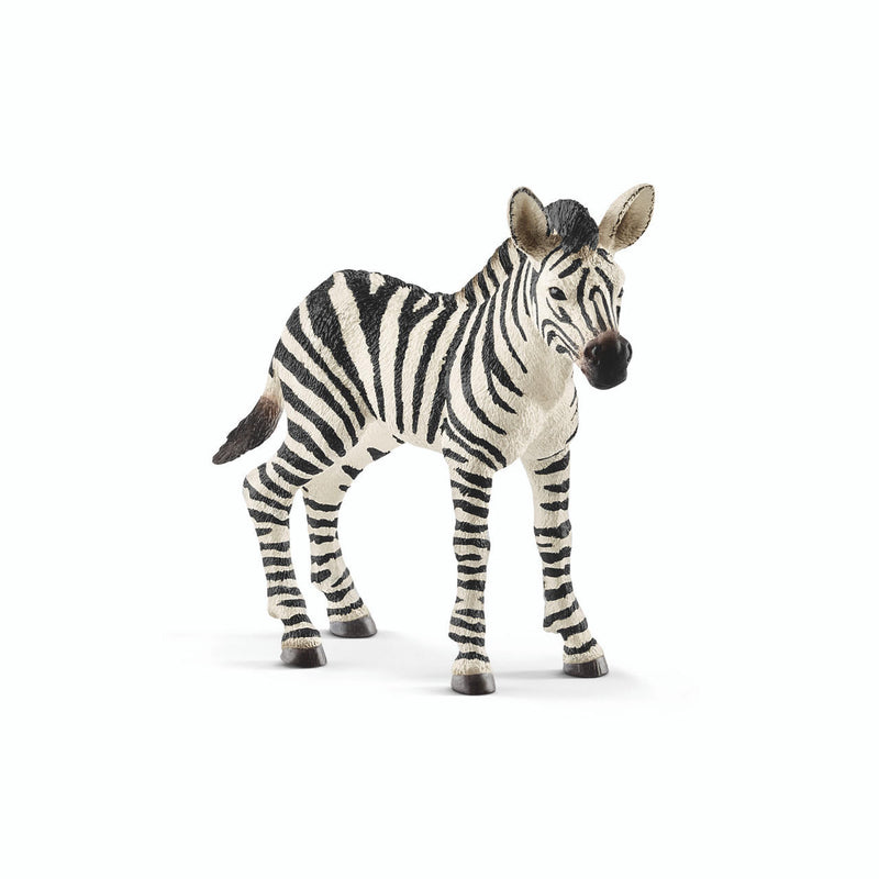Schleich Wild Life Zebra Foal