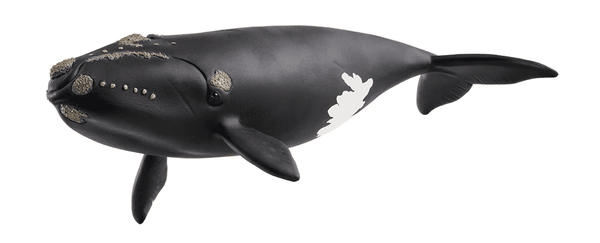 Schleich Wild Life North Atlantic Right Whale
