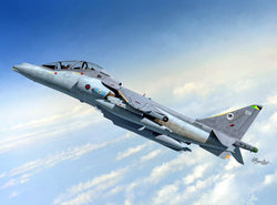 Sword 1/72 BAe Harrier T.10/12