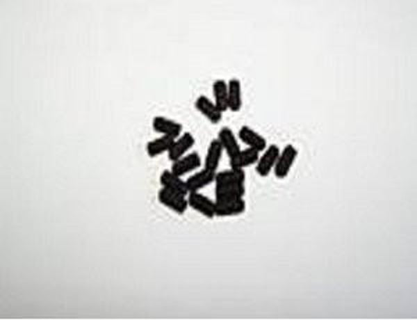 Thunder Tiger TS4N Screw 3x6mm