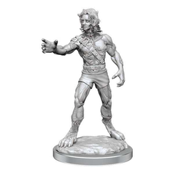 WizKids Nolzur's Marvelous Miniatures Headless Monster