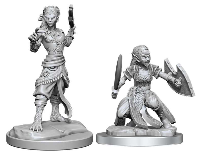 WizKids Nolzur's Marvelous Miniatures Shifter Fighters